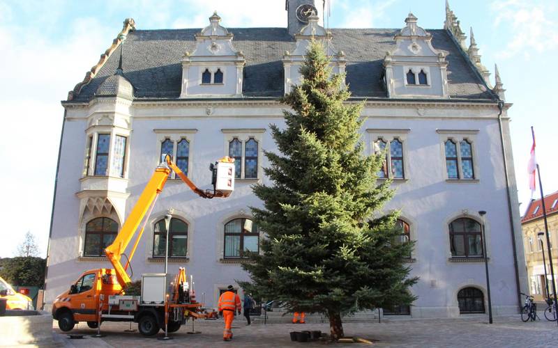 Weihnachtsbaum Altstadt