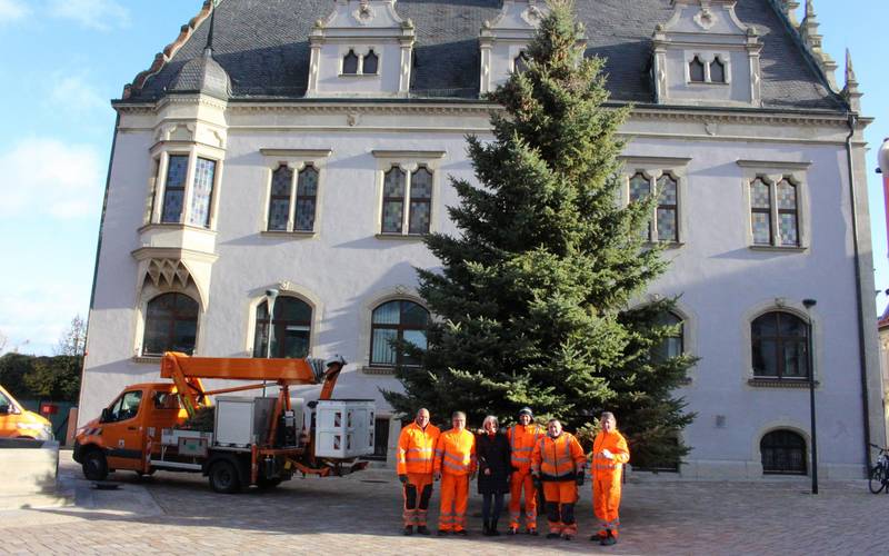 Weihnachtsbaum Altstadt