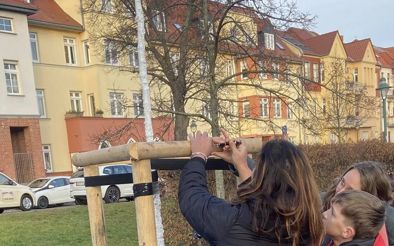 Bild 2