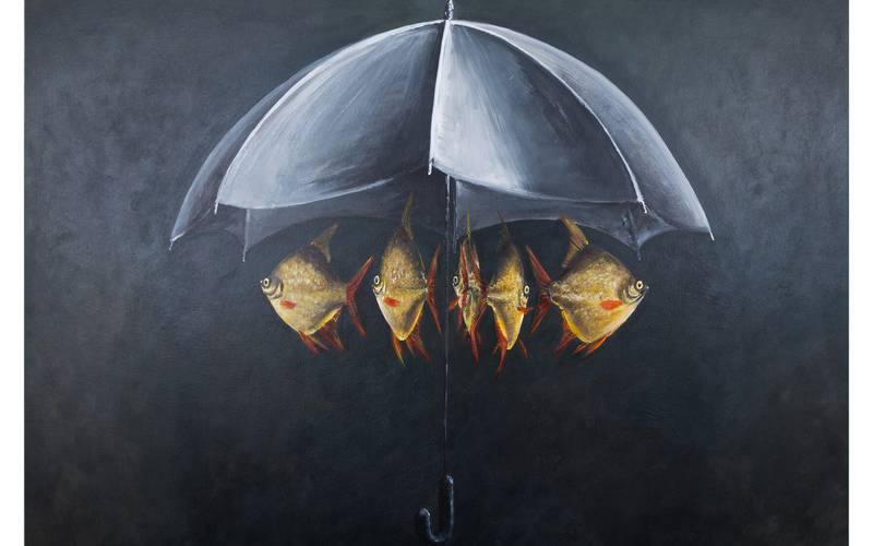 Fische an einem Regenschirm.