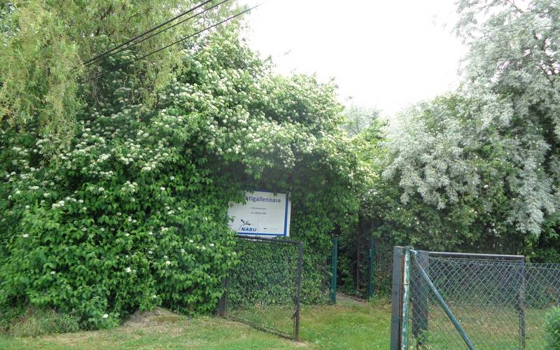 nachtigallenoase edner