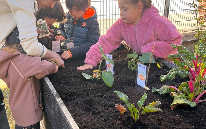 Kinder vor einem Hochbeet.