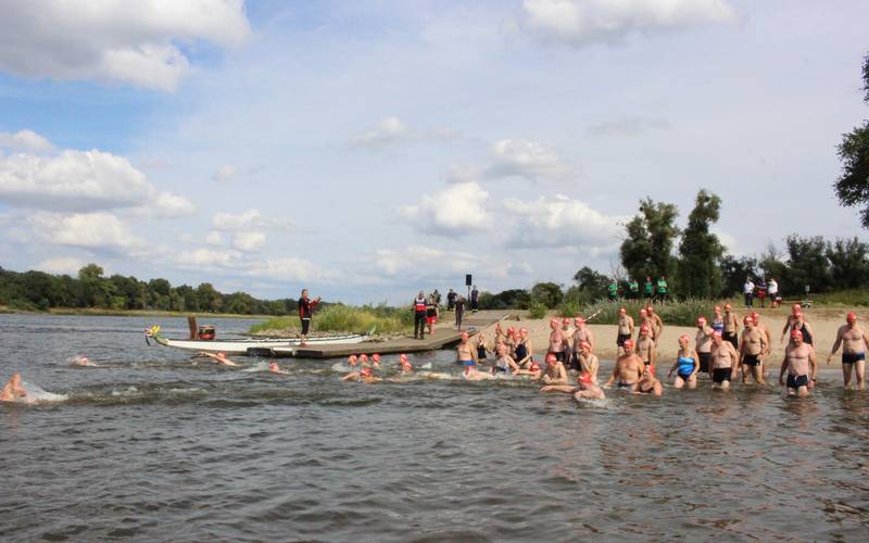 Menschen gehen in die Elbe, um sie zu durchschwimmen.